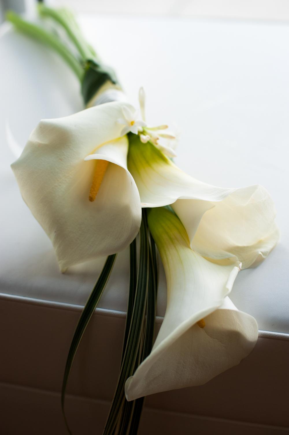 Front Page Post Image